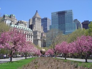 dsc01199