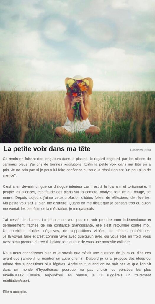 Billet « La petite voix dans ma tête », décembre 2013 Le billet de Moodstep « La petite voix dans ma tête », décembre 2013