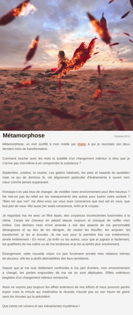 Billet « Métamorphose », octobre 2014 Le billet de Moodstep « Métamorphose », octobre 2014