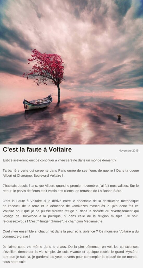 Billet « C'est la faute à Voltaire », novembre 2015 Le billet de Moodstep « C'est la faute à Voltaire », novembre 2015