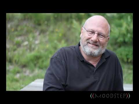 Happyview*68: Marc Halévy - Petit traité de la joie de vivre