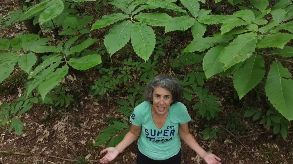 Joanna dans un bois de châtaigniers, les bras ouverts, levant les yeux vers la caméra